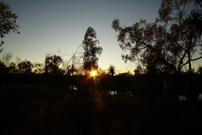 Illustration for article titled AWOL Around Australia... Lorella Springs Station.